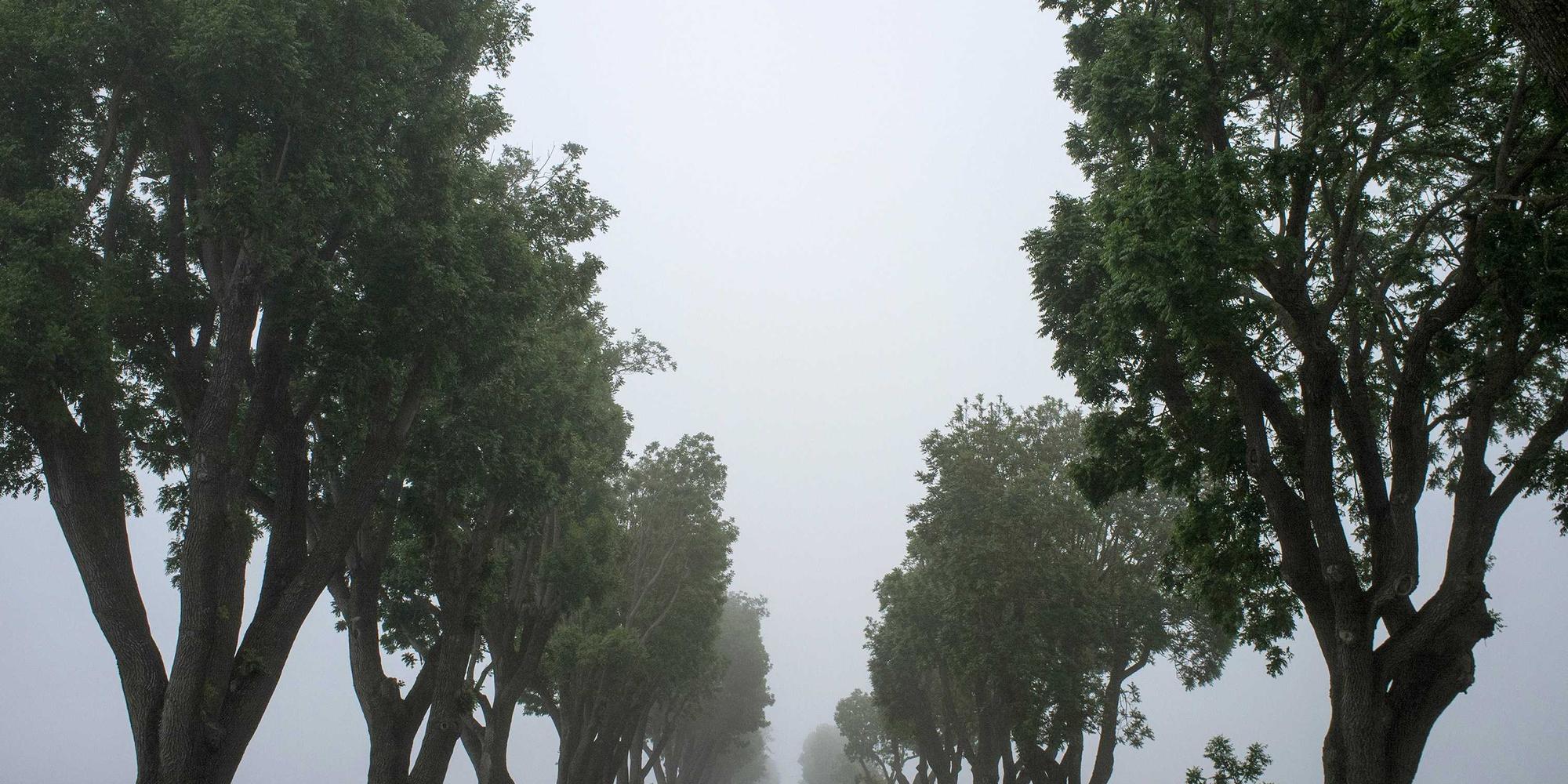 Cover Image for Model Router: Chọn Model AI Đúng Cho Từng Task